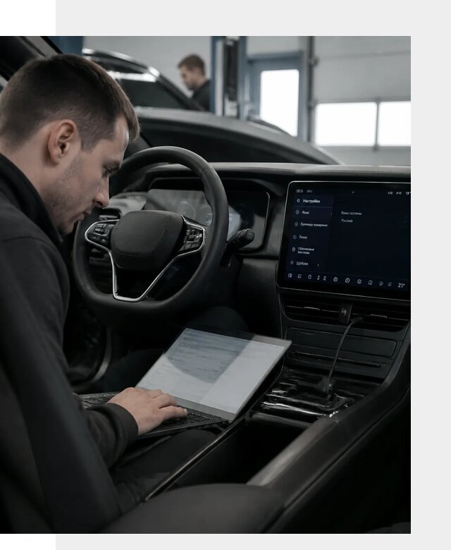 Русификация автомобилей BYD под ключ для всех моделей в Нижневартовске